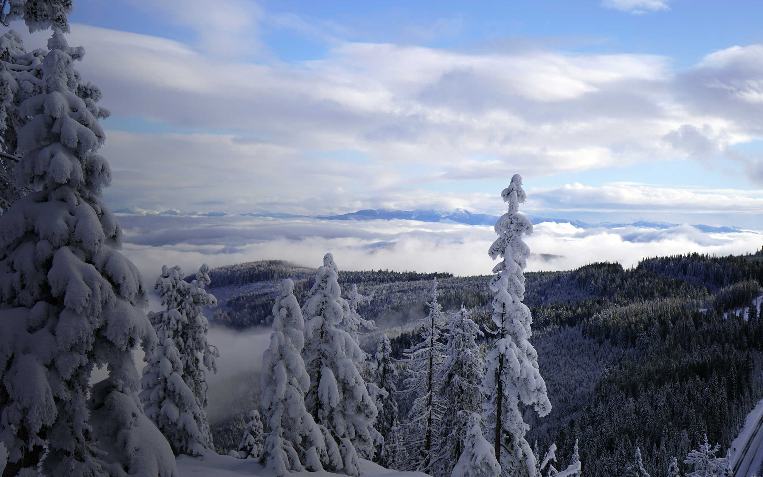 The West Kootenay - Twin Rivers Controls